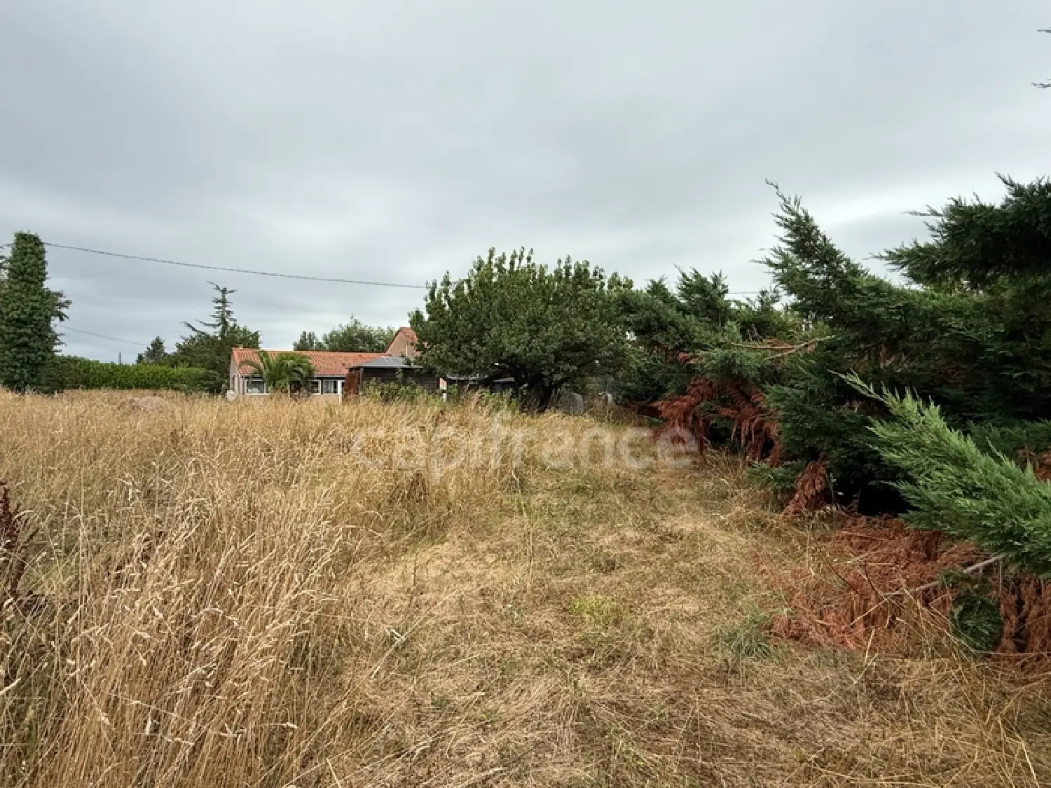 te koop terrein Bérat Haute-Garonne 3