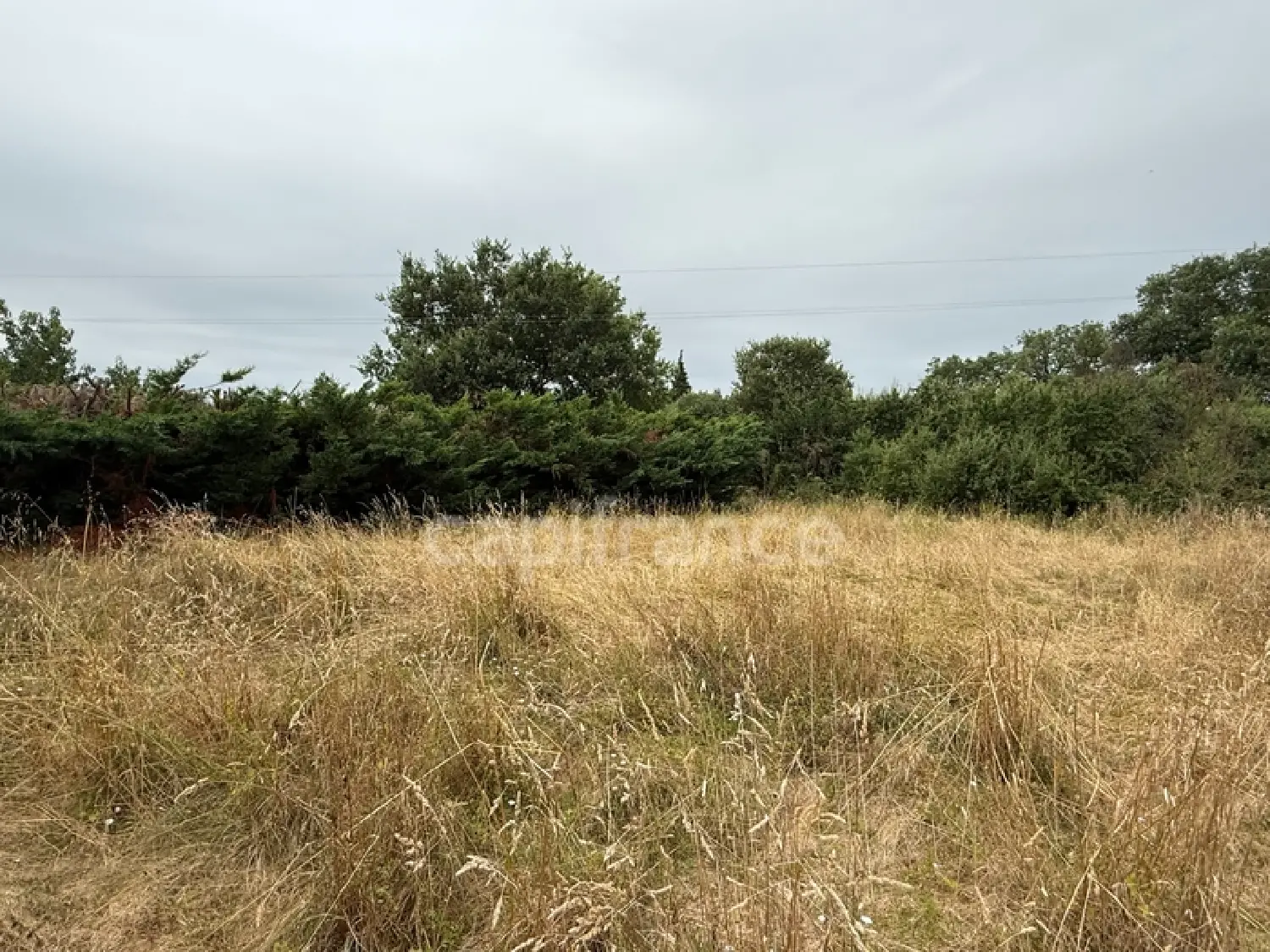  te koop terrein Bérat Haute-Garonne 4