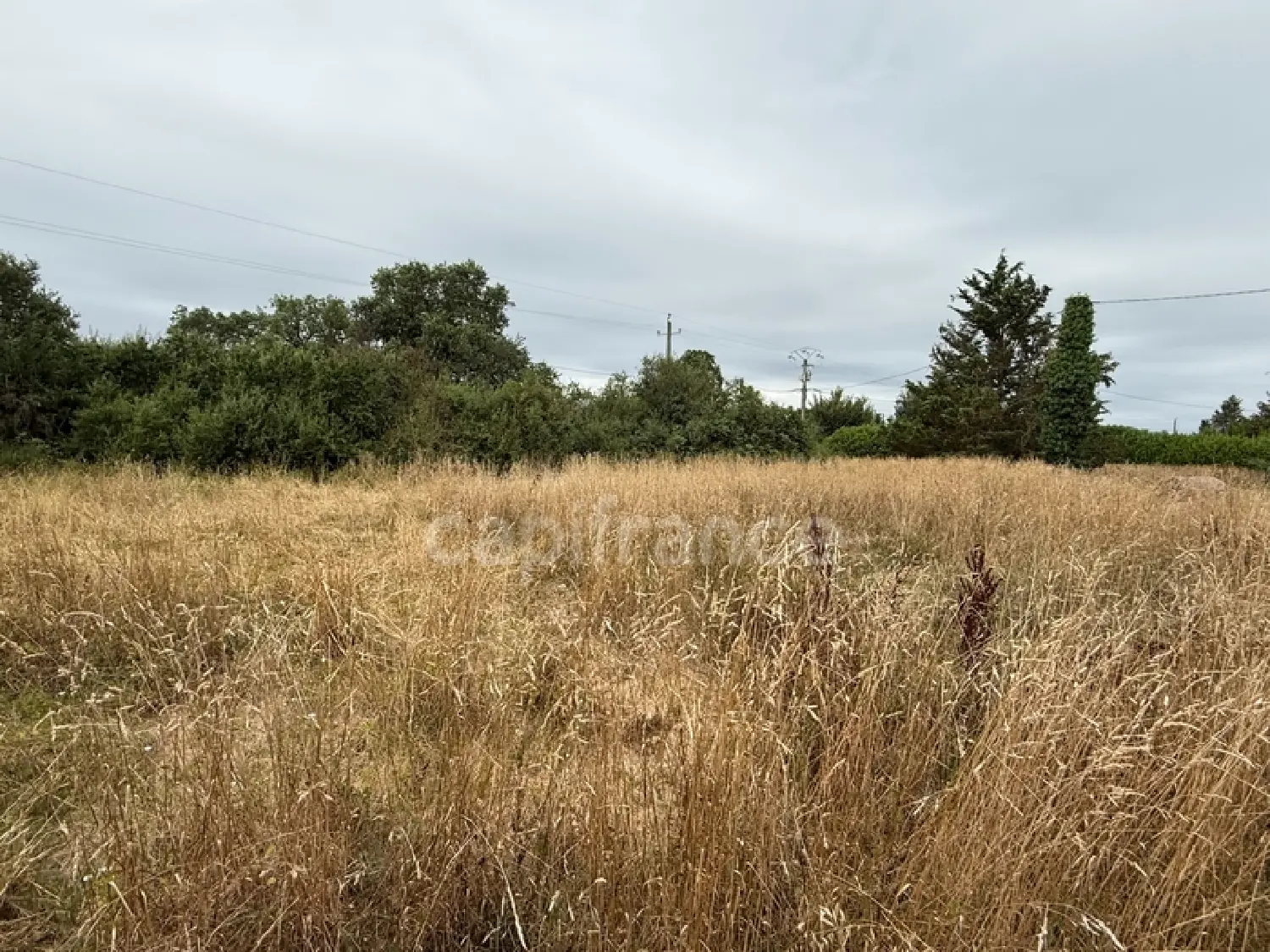  te koop terrein Bérat Haute-Garonne 5