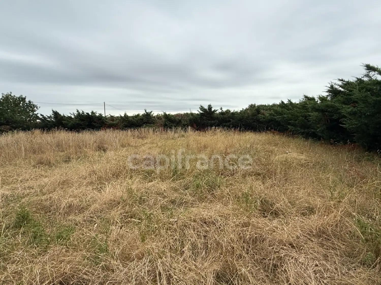  te koop terrein Bérat Haute-Garonne 7