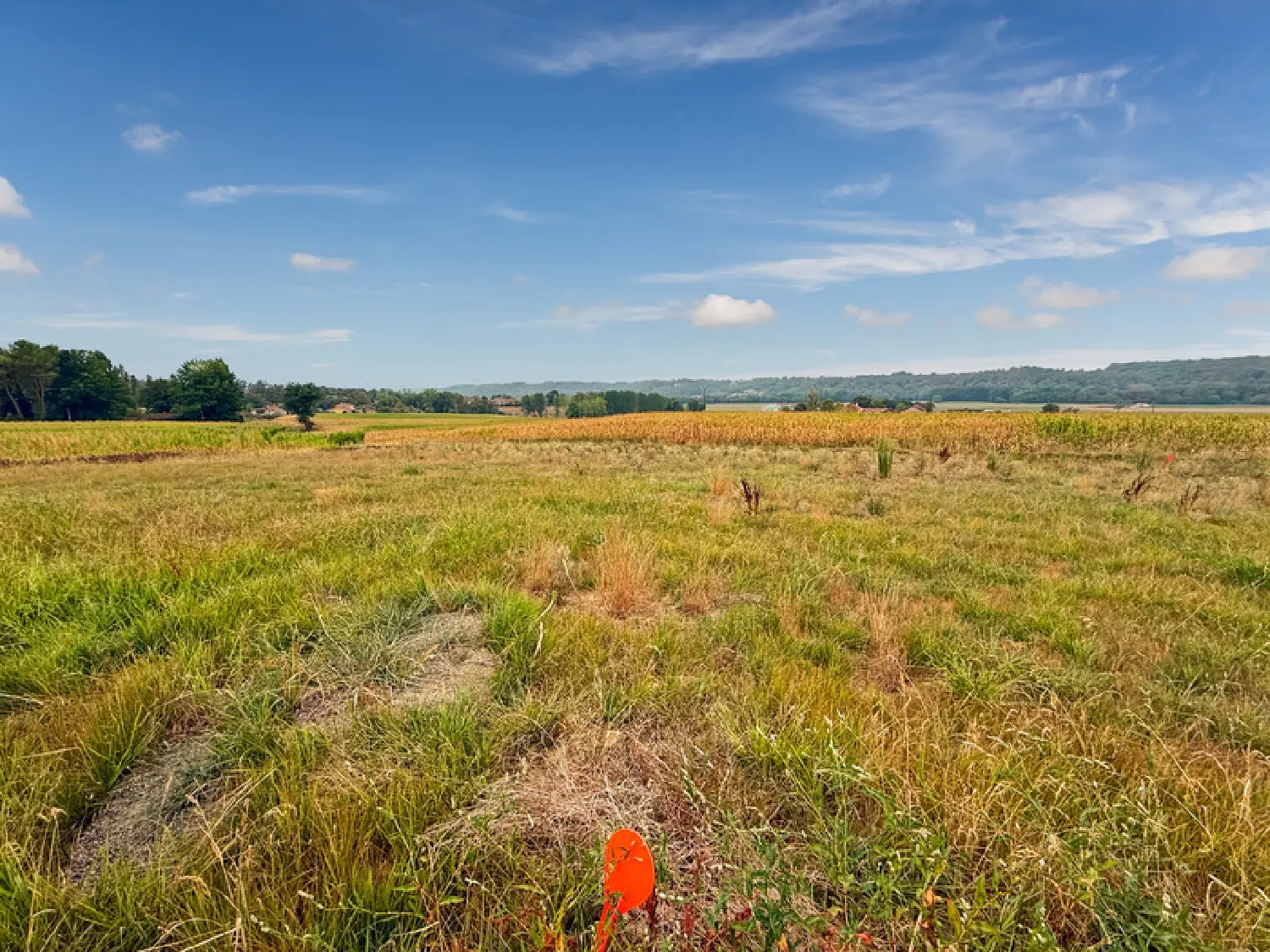  en venta terreno Bernède Gers 1