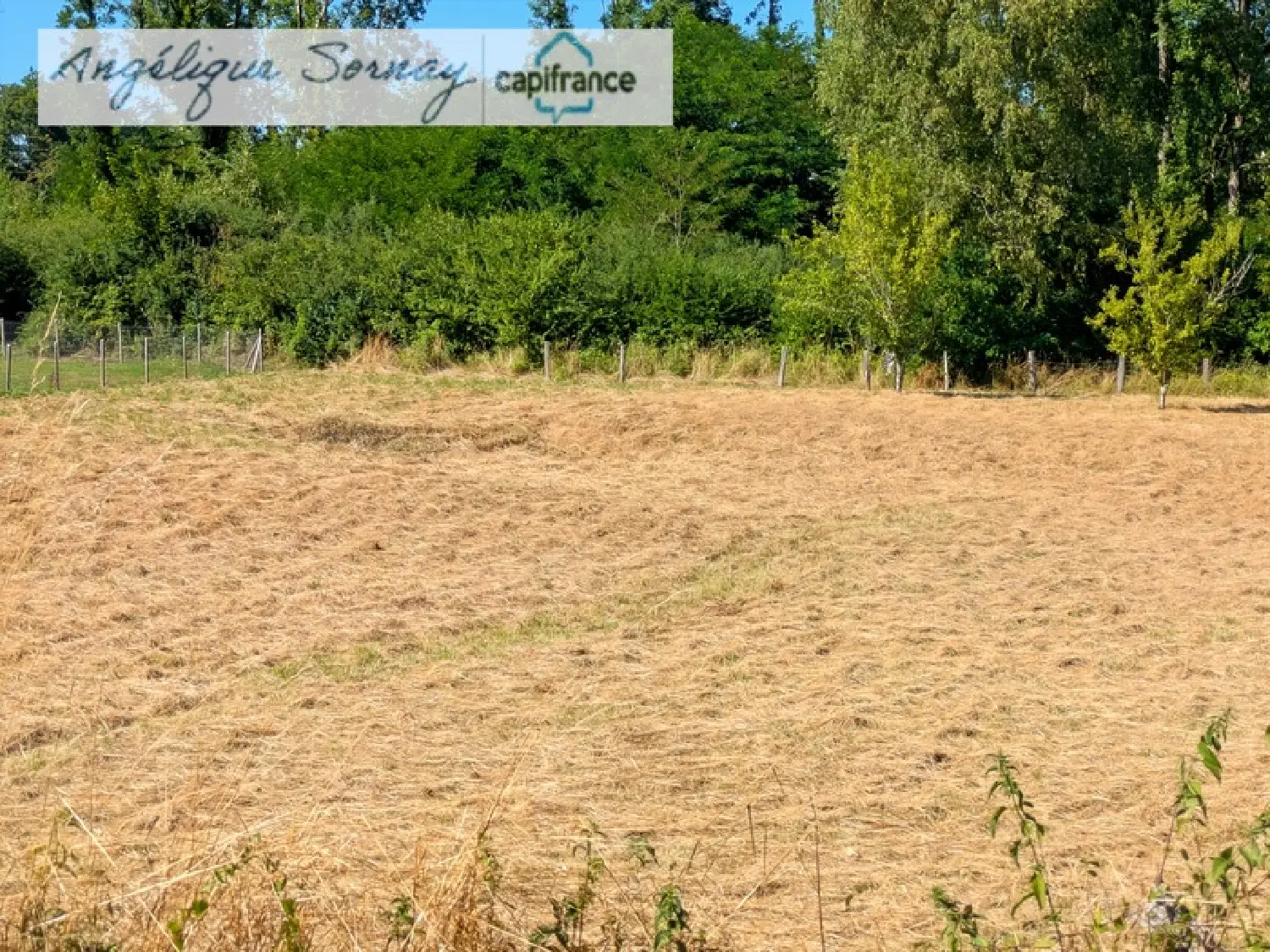  kaufen Grundstück Bletterans Jura 3