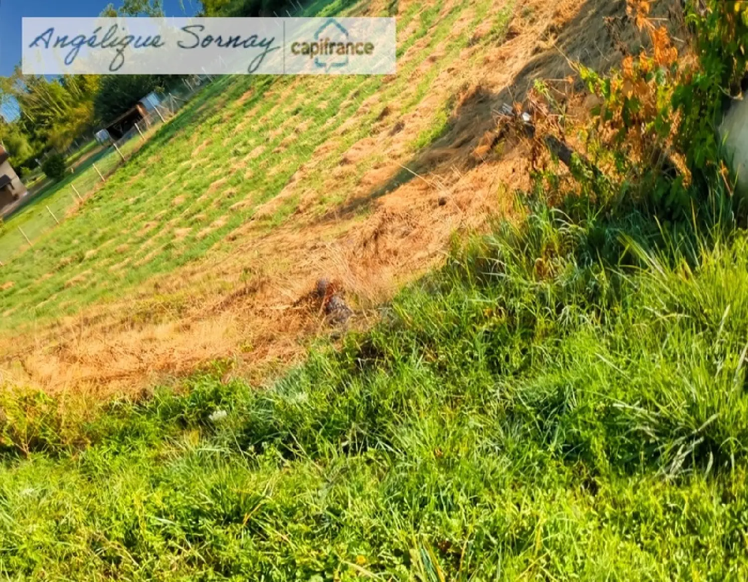  kaufen Grundstück Bletterans Jura 5