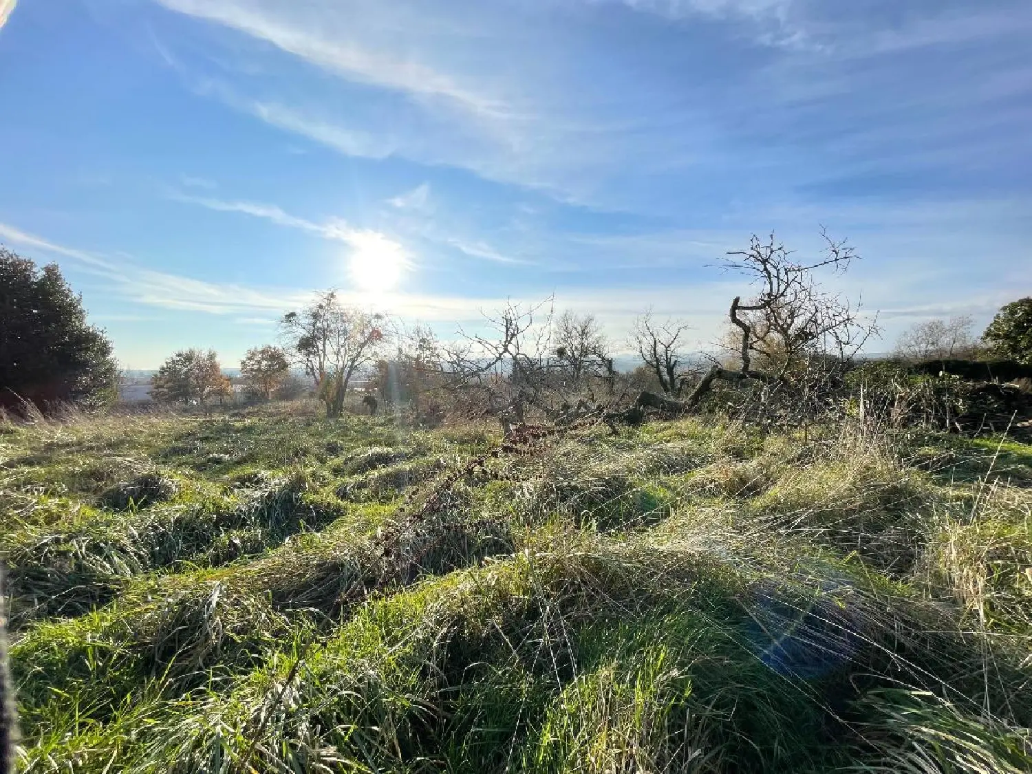  en venta terreno Charnay-lès-Mâcon Saône-et-Loire 5
