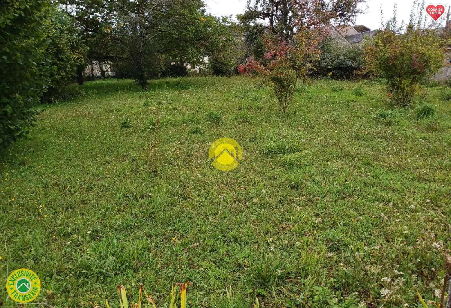  à vendre terrain Chârost Cher 6