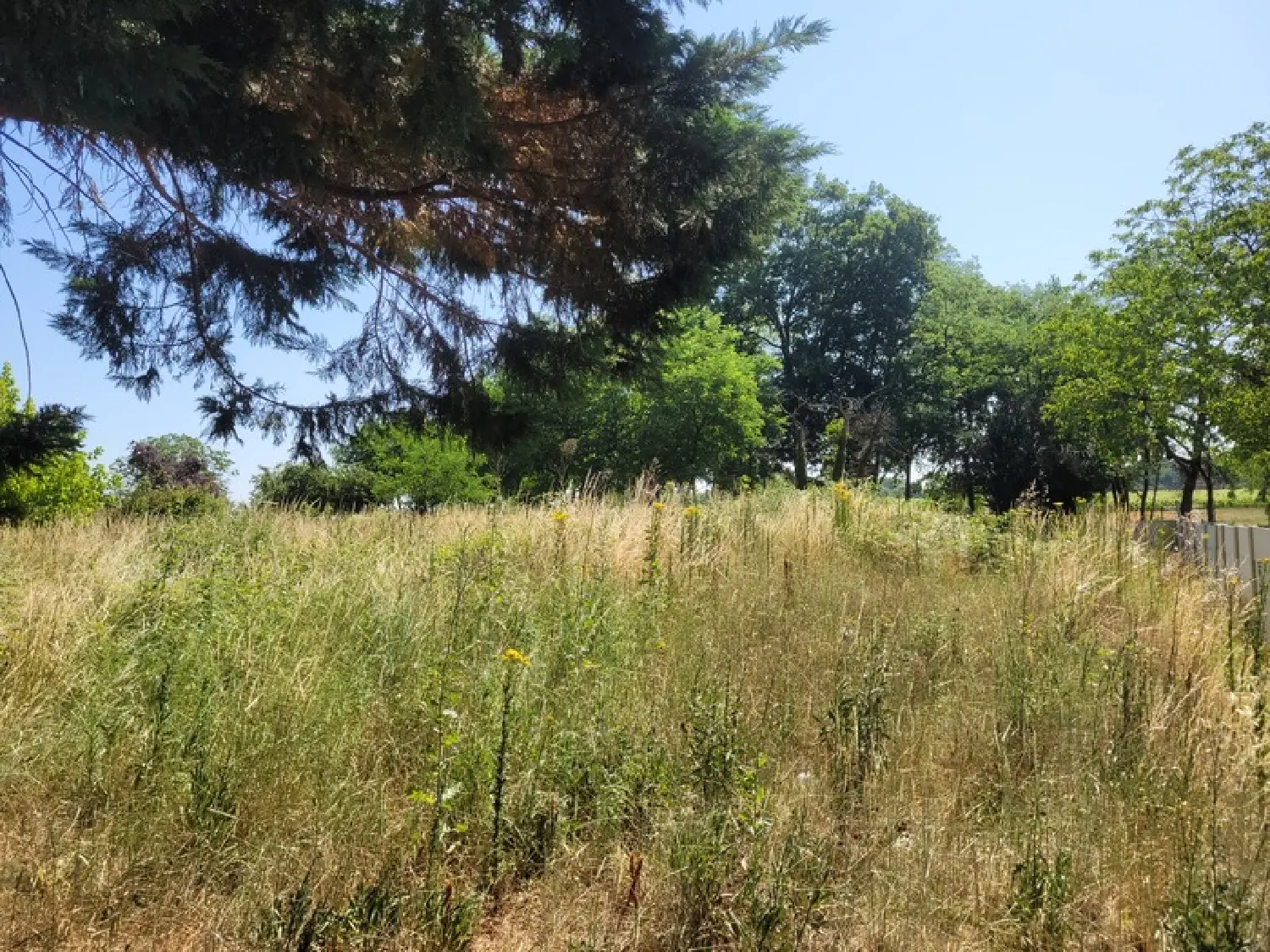  en venta terreno Cissac-Médoc Gironde 2