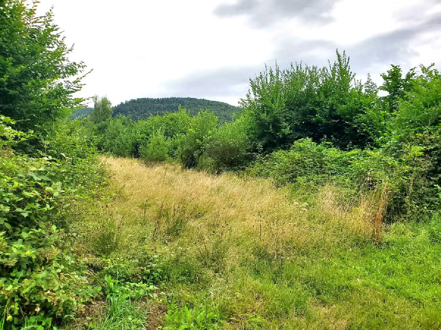  te koop terrein Colroy-la-Roche Bas-Rhin 1
