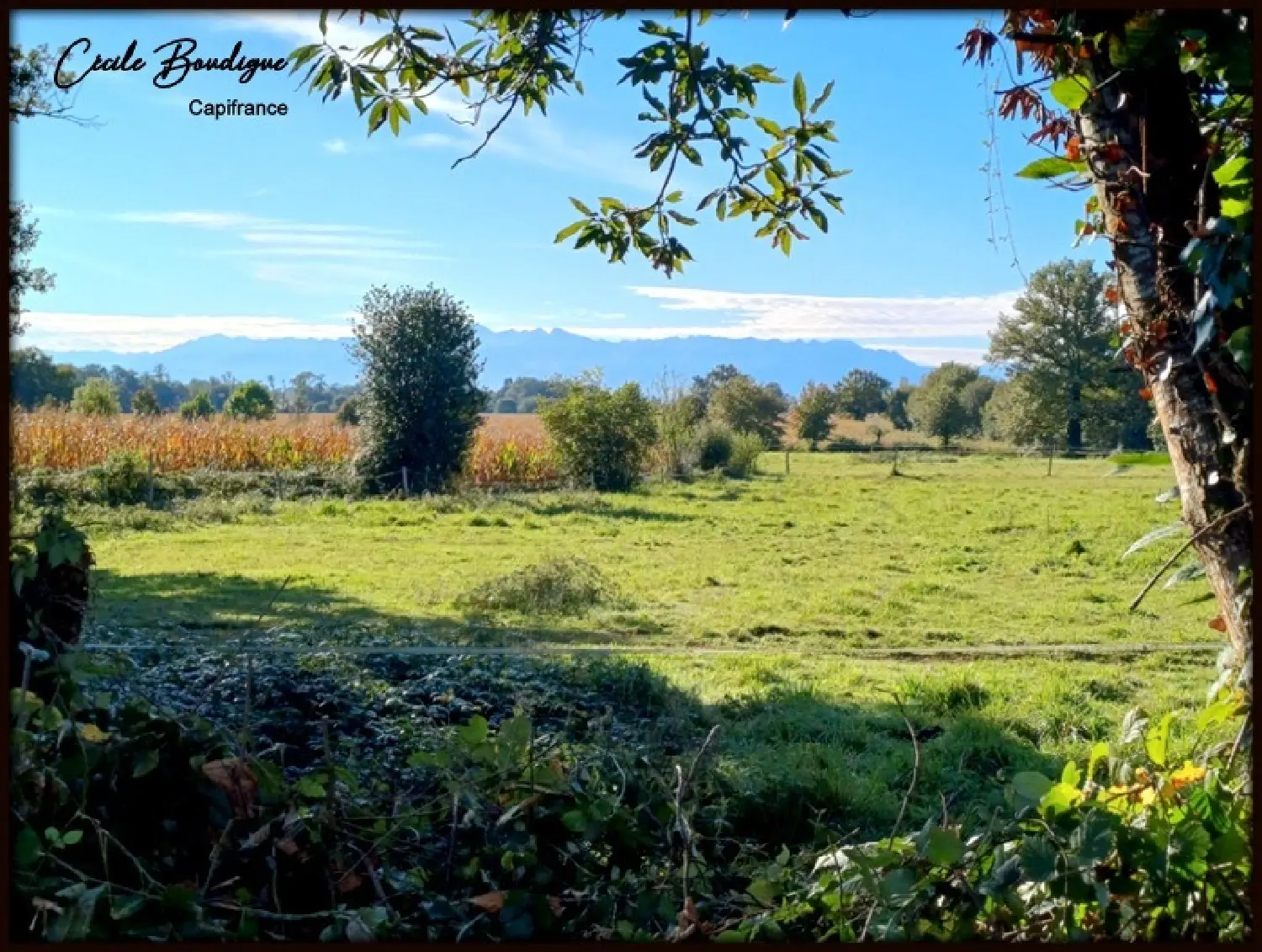  te koop terrein Eslourenties-Daban Pyrénées-Atlantiques 3