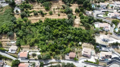 Falicon Alpes-Maritimes Grundstück Bild 7120456