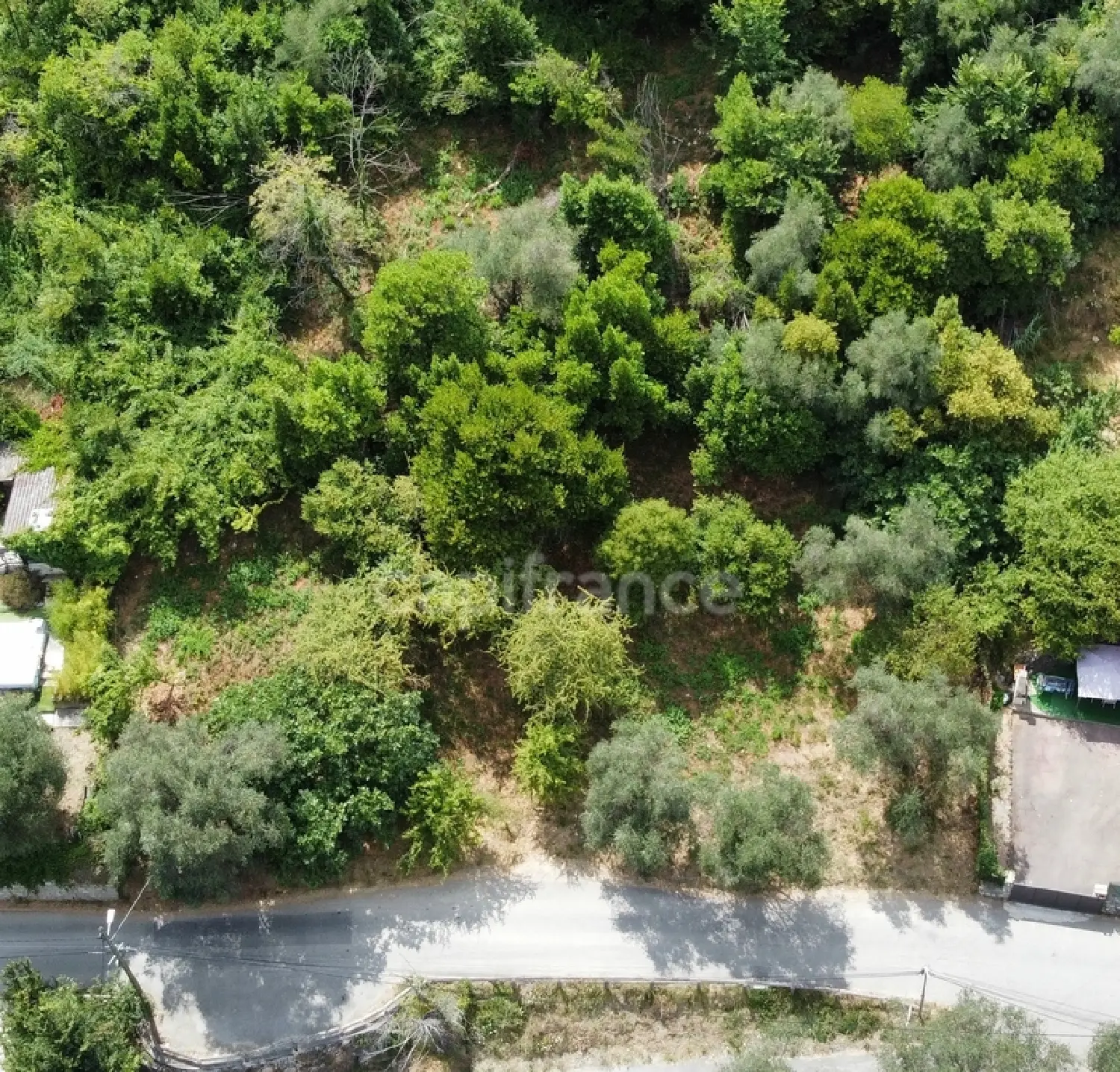  te koop terrein Falicon Alpes-Maritimes 2