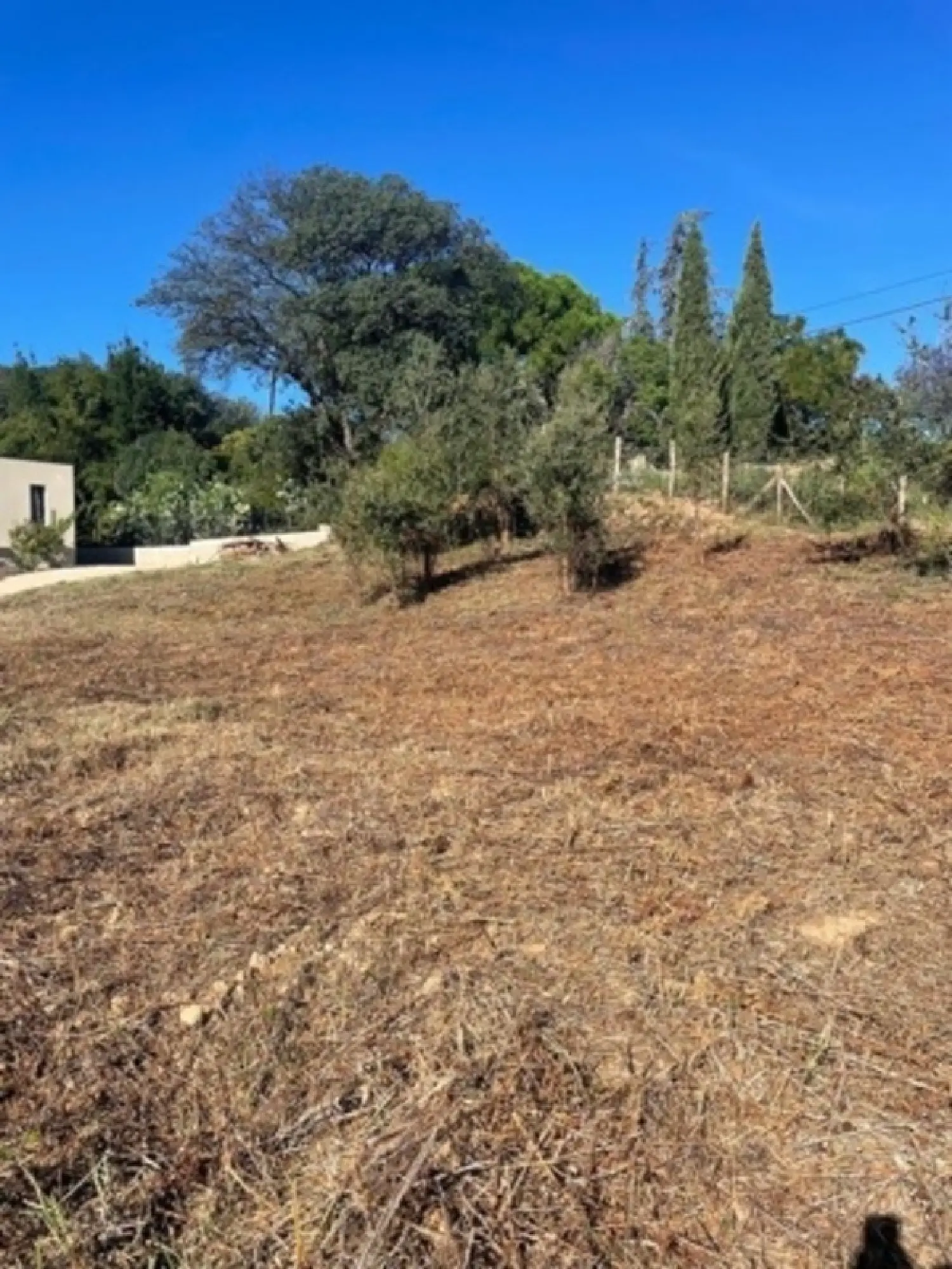  te koop terrein Folelli Haute-Corse 3