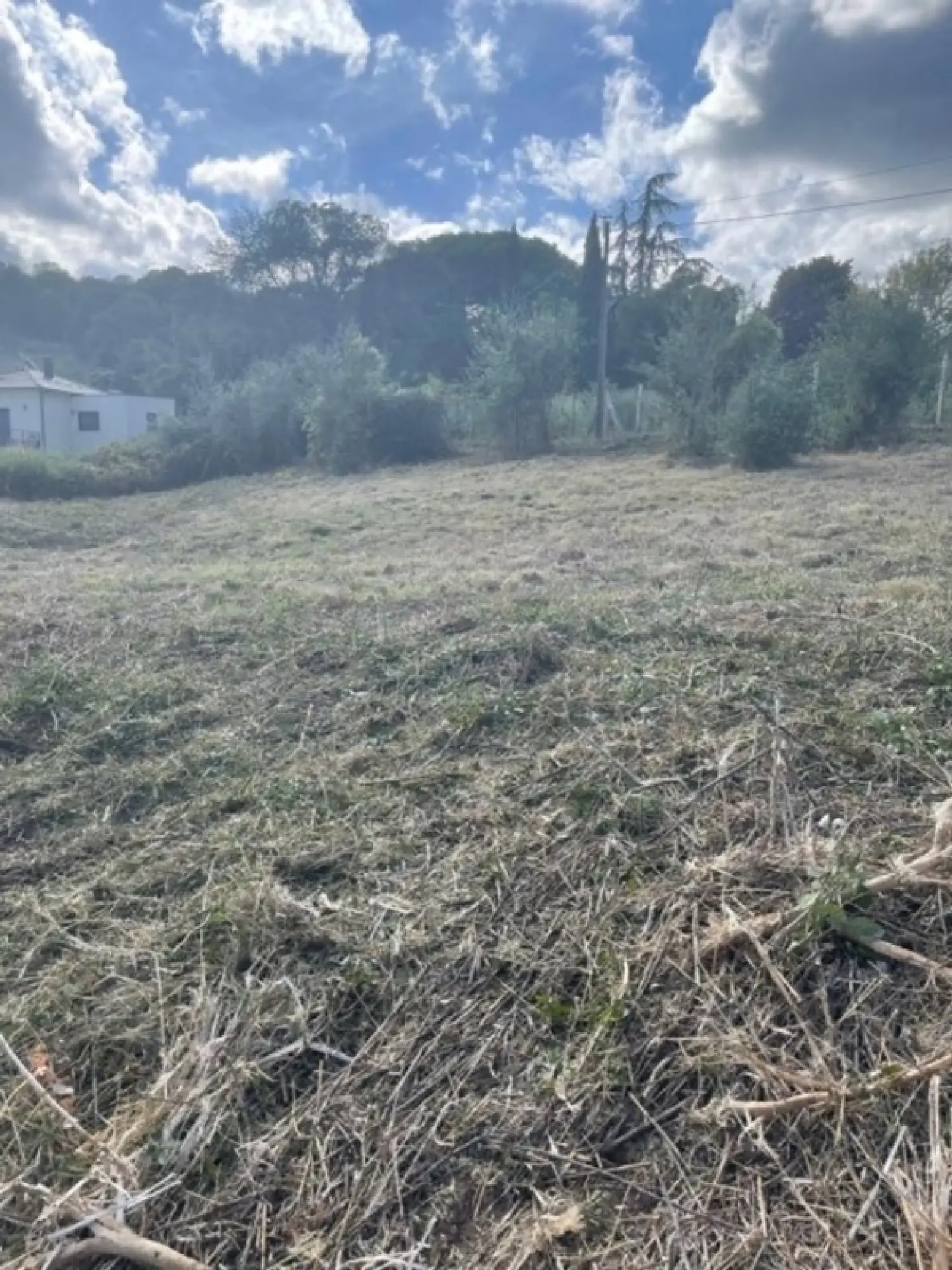  te koop terrein Folelli Haute-Corse 4