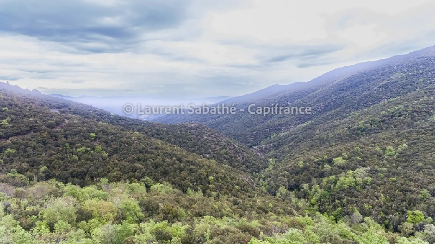  te koop terrein Glorianes Pyrénées-Orientales 1