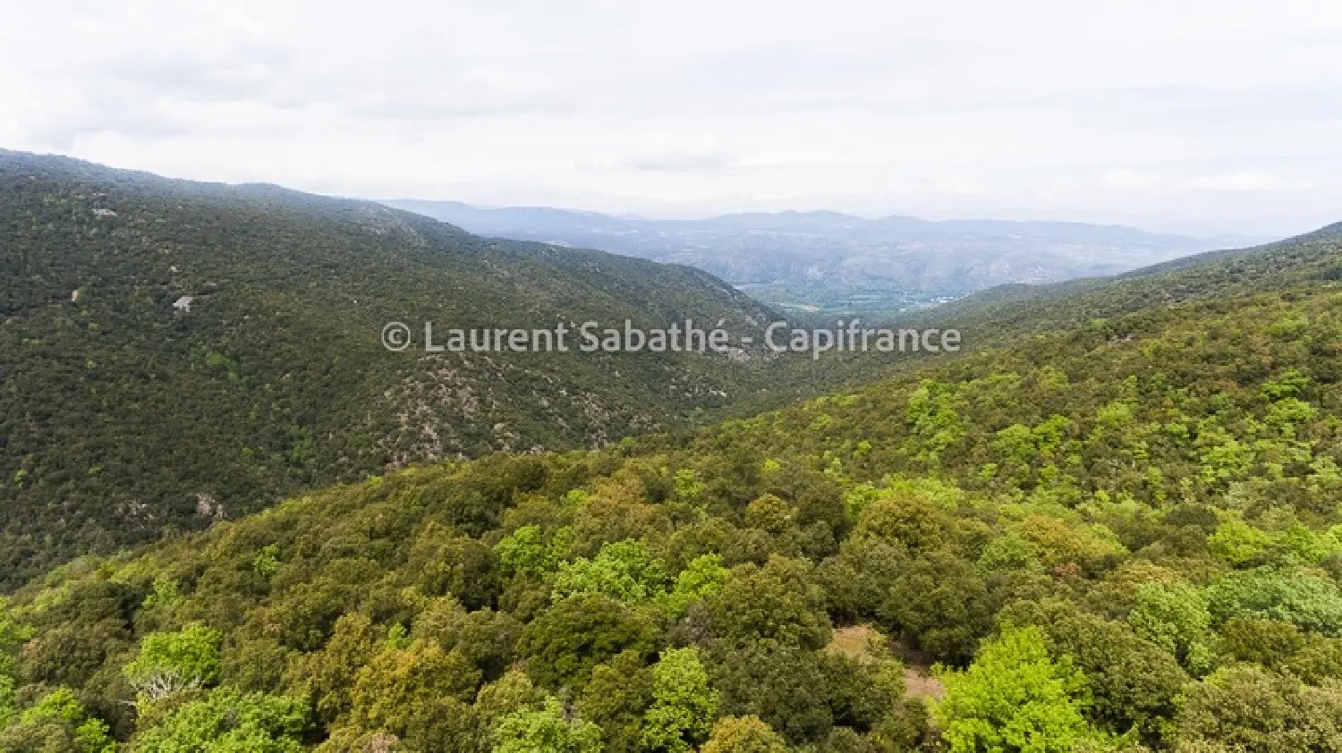  te koop terrein Glorianes Pyrénées-Orientales 2