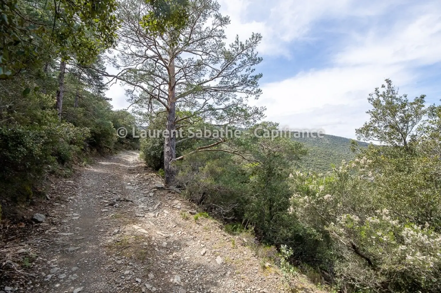  te koop terrein Glorianes Pyrénées-Orientales 3