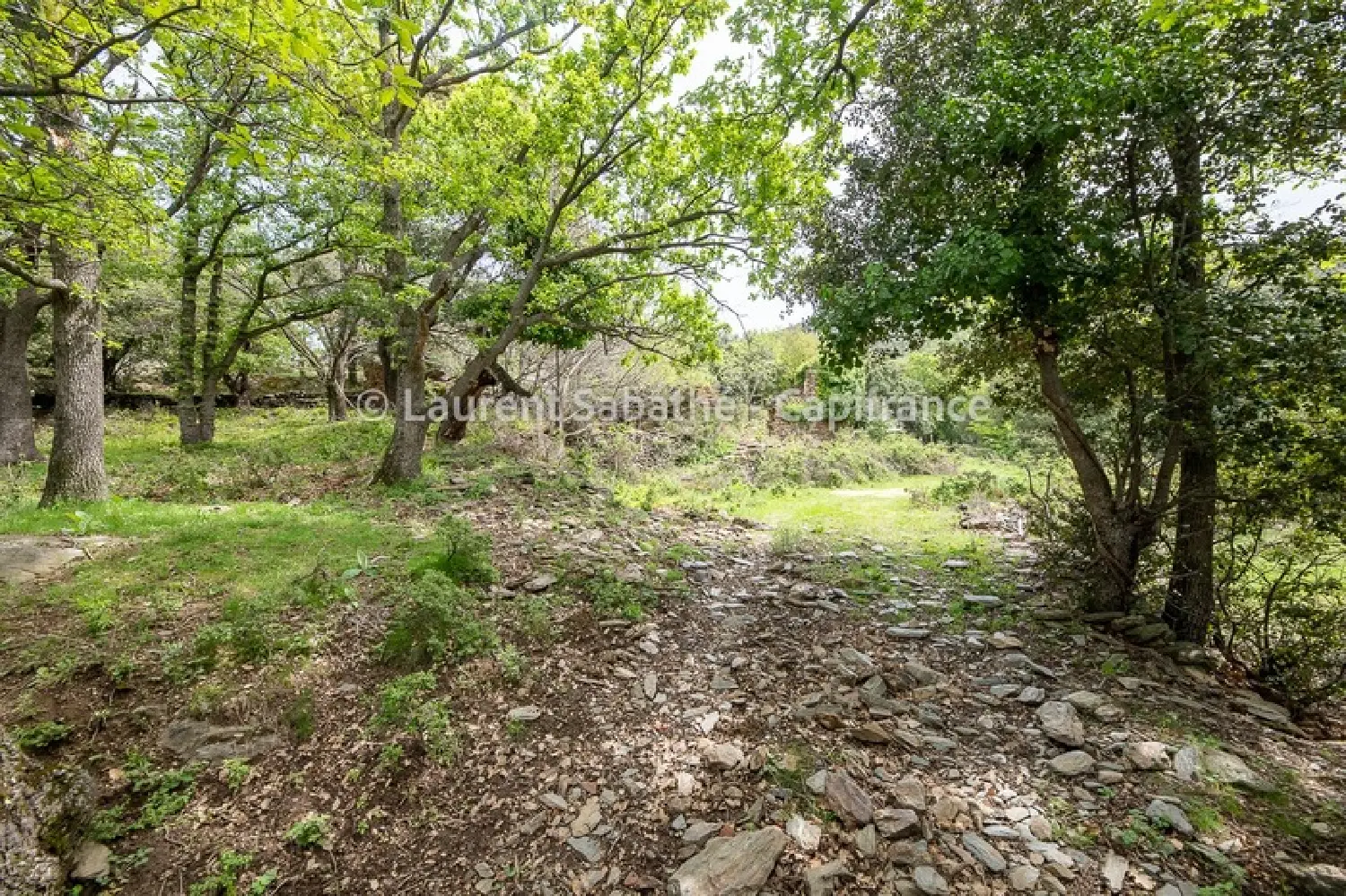  te koop terrein Glorianes Pyrénées-Orientales 4
