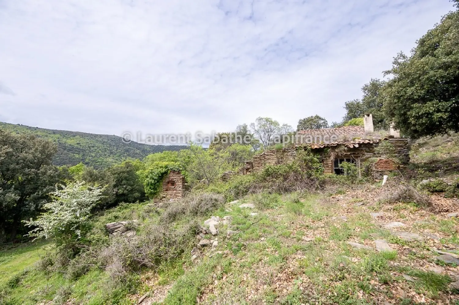  te koop terrein Glorianes Pyrénées-Orientales 5