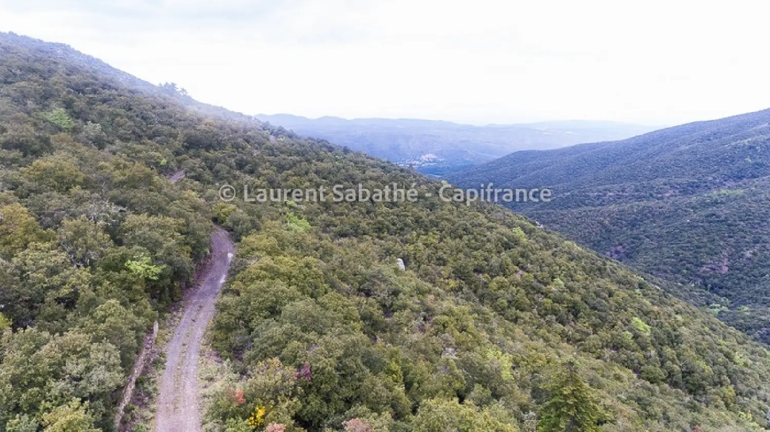  te koop terrein Glorianes Pyrénées-Orientales 8