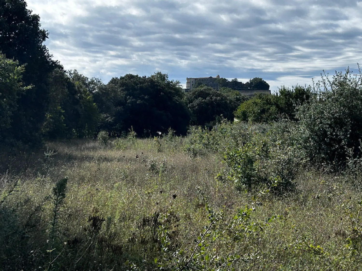  à vendre terrain Grignan Drôme 1