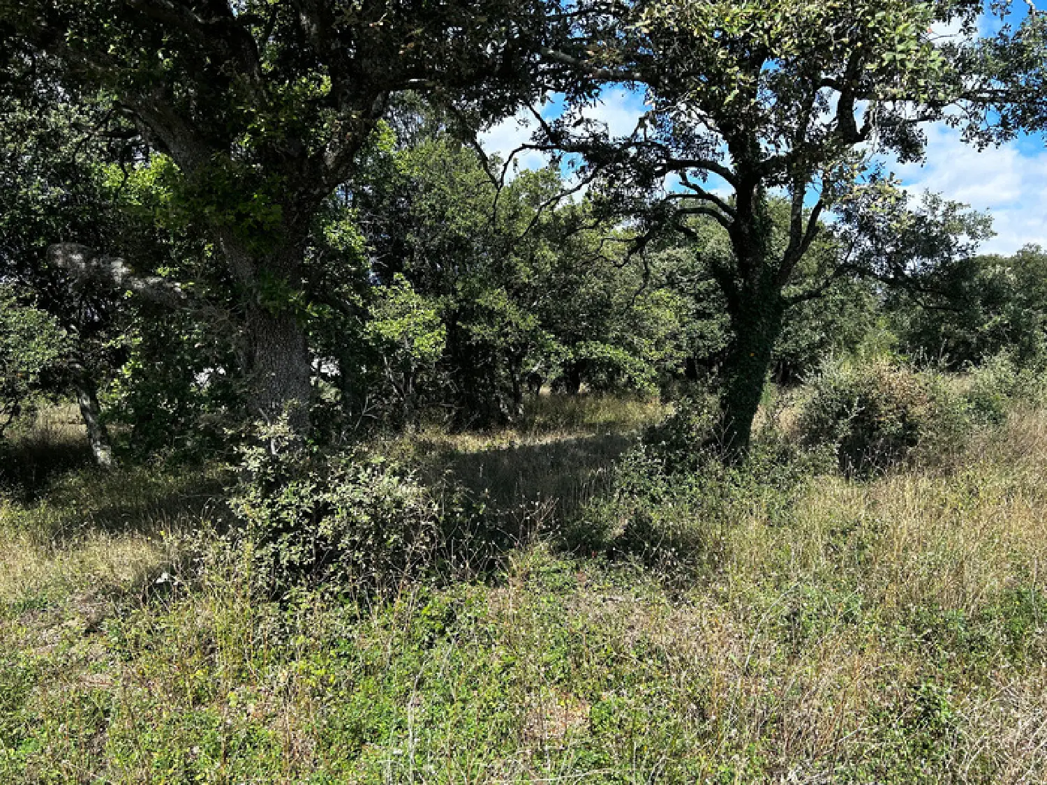  à vendre terrain Grignan Drôme 3