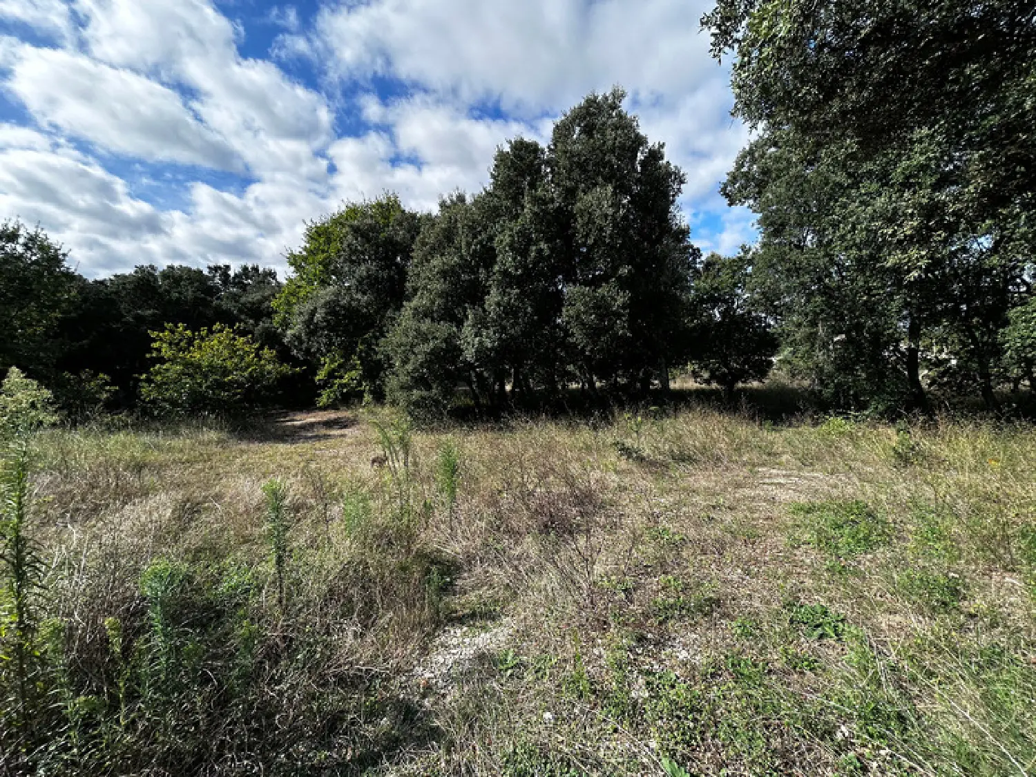  à vendre terrain Grignan Drôme 4