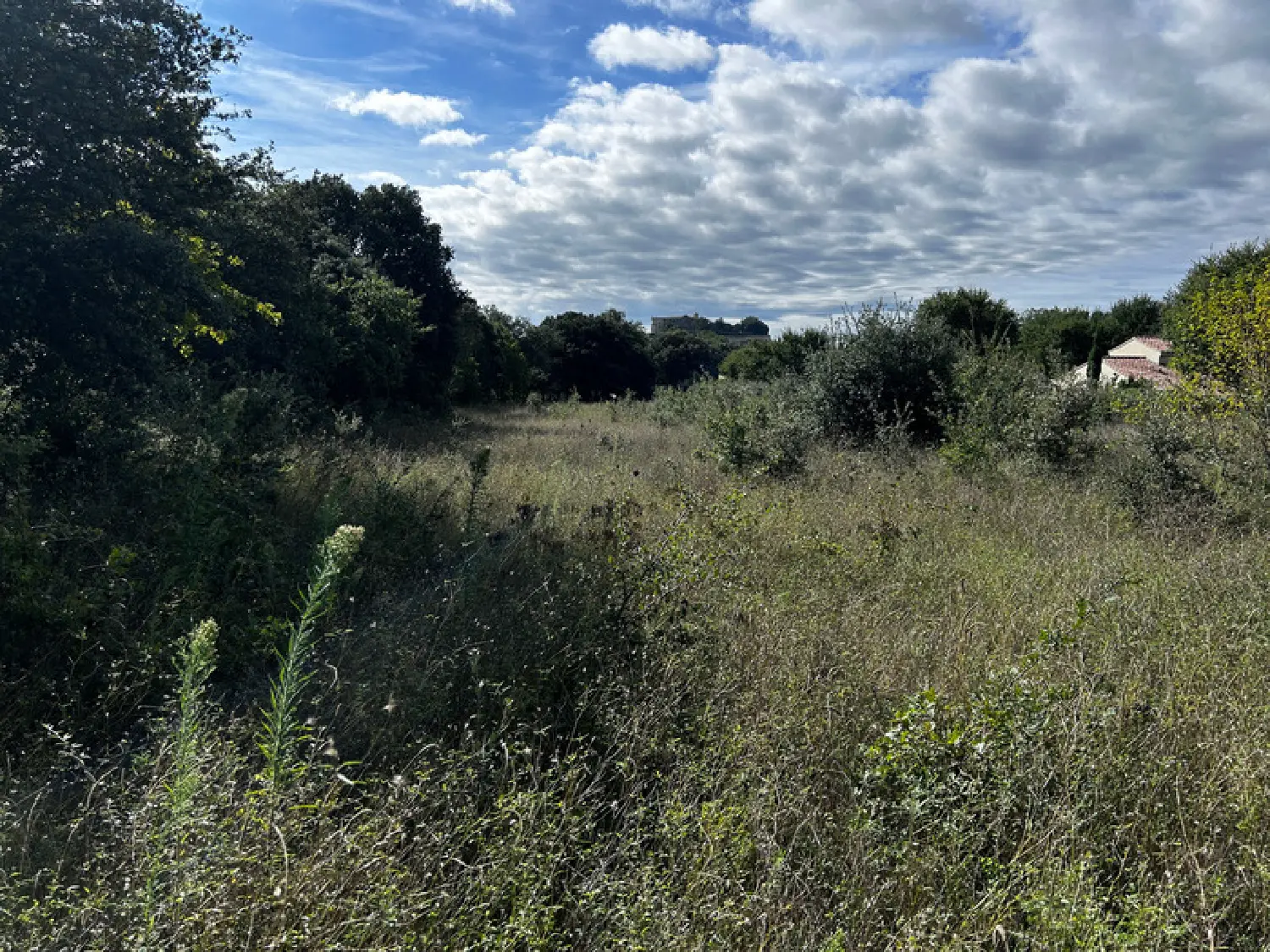  à vendre terrain Grignan Drôme 5