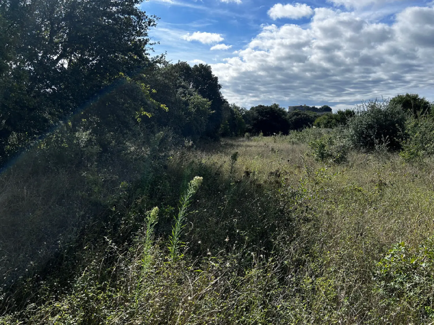  à vendre terrain Grignan Drôme 8