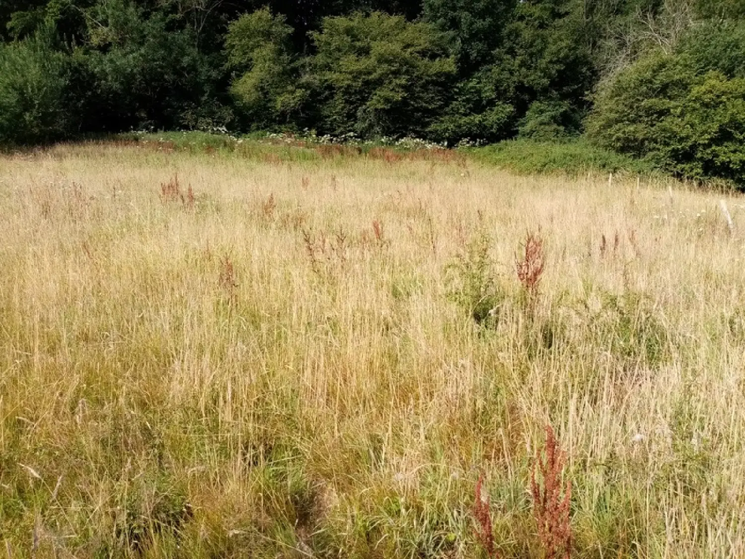  te koop terrein Héricourt-en-Caux Seine-Maritime 1
