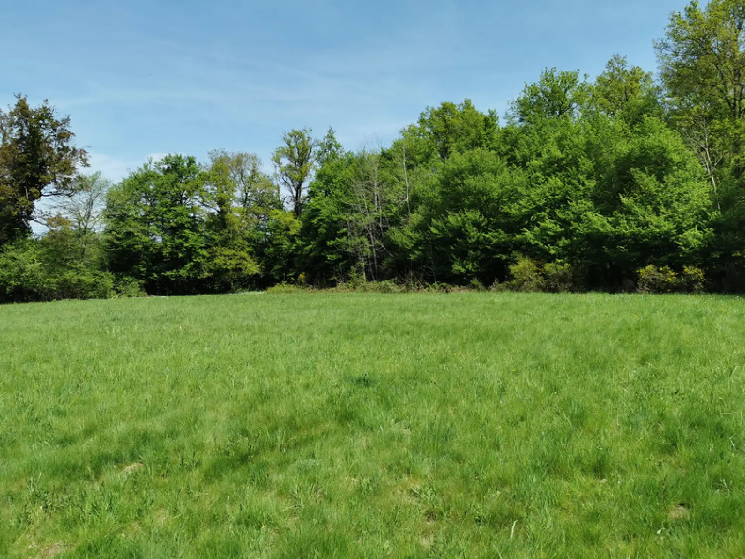  à vendre terrain Javerdat Haute-Vienne 3