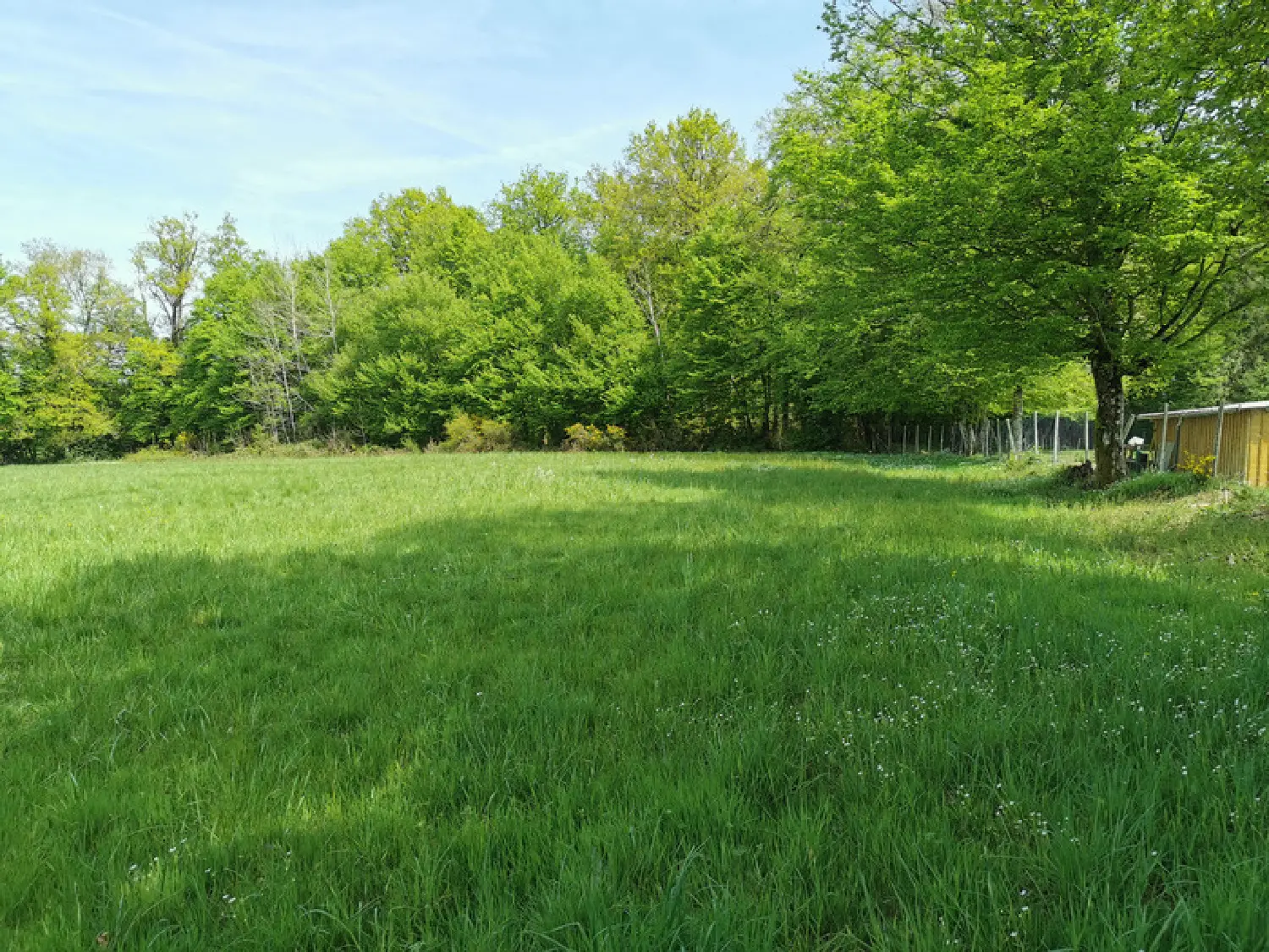  à vendre terrain Javerdat Haute-Vienne 4