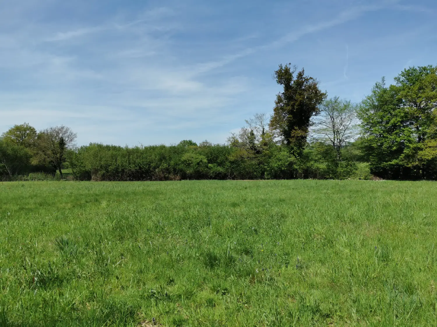  à vendre terrain Javerdat Haute-Vienne 6