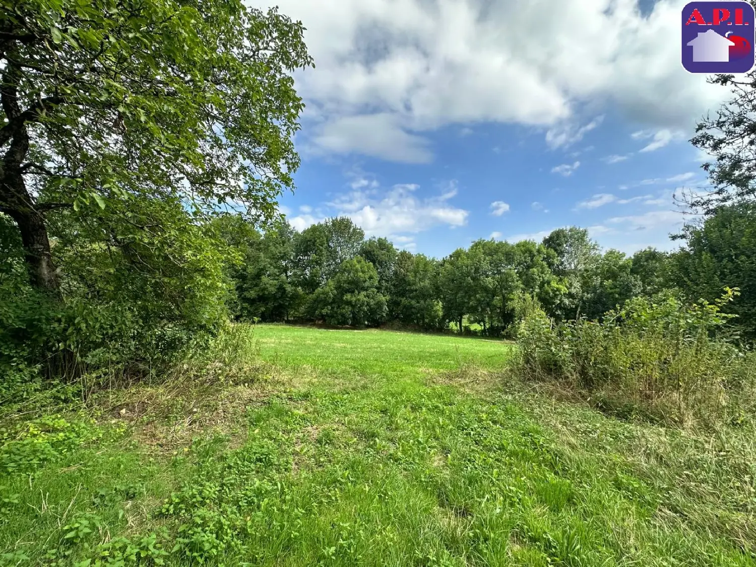  à vendre terrain La Bastide-de-Sérou Ariège 2