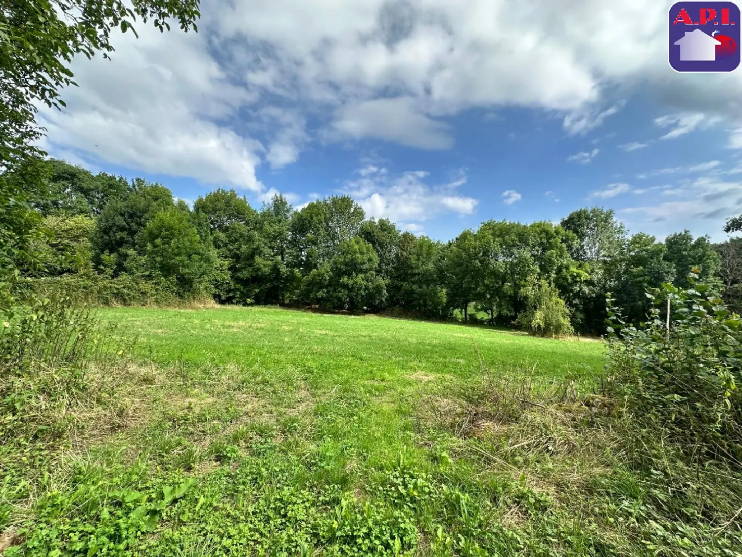  à vendre terrain La Bastide-de-Sérou Ariège 3