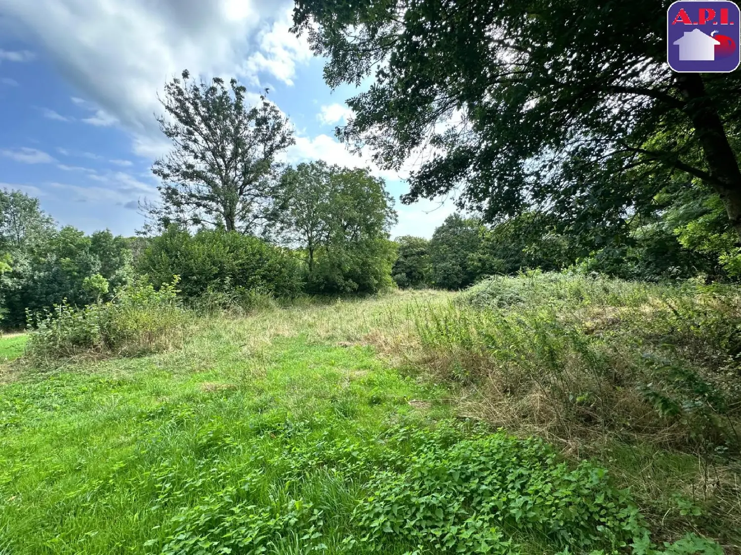  à vendre terrain La Bastide-de-Sérou Ariège 7