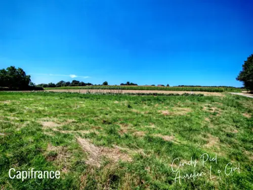 La Gacilly Morbihan terrein foto 7123003