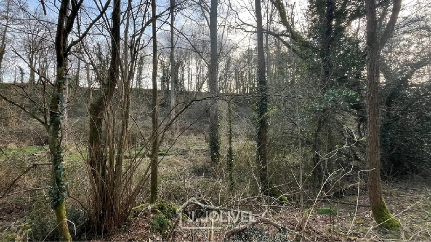  kaufen Grundstück La Roche-sur-Yon Vendée 6