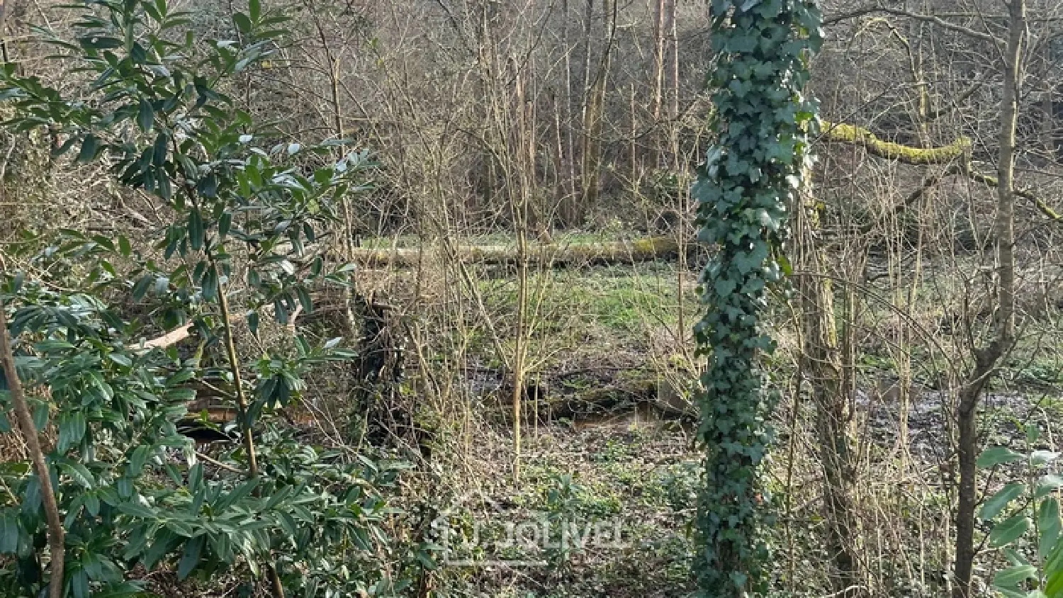  kaufen Grundstück La Roche-sur-Yon Vendée 8