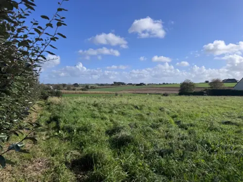 Lampaul-Ploudalmézeau Finistère Grundstück Bild 7127110