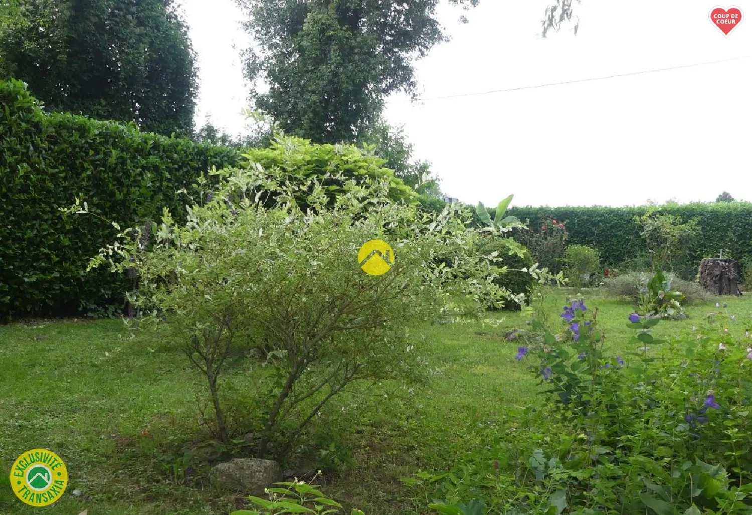  kaufen Grundstück Langeais Indre-et-Loire 5