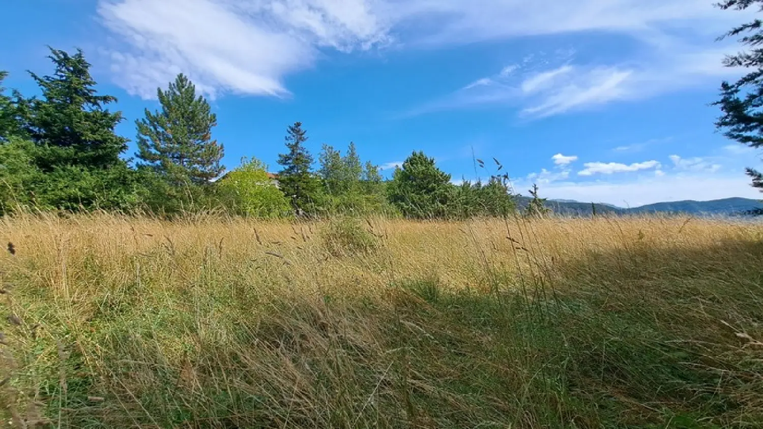  en venta terreno Le Brusquet Alpes-de-Haute-Provence 3