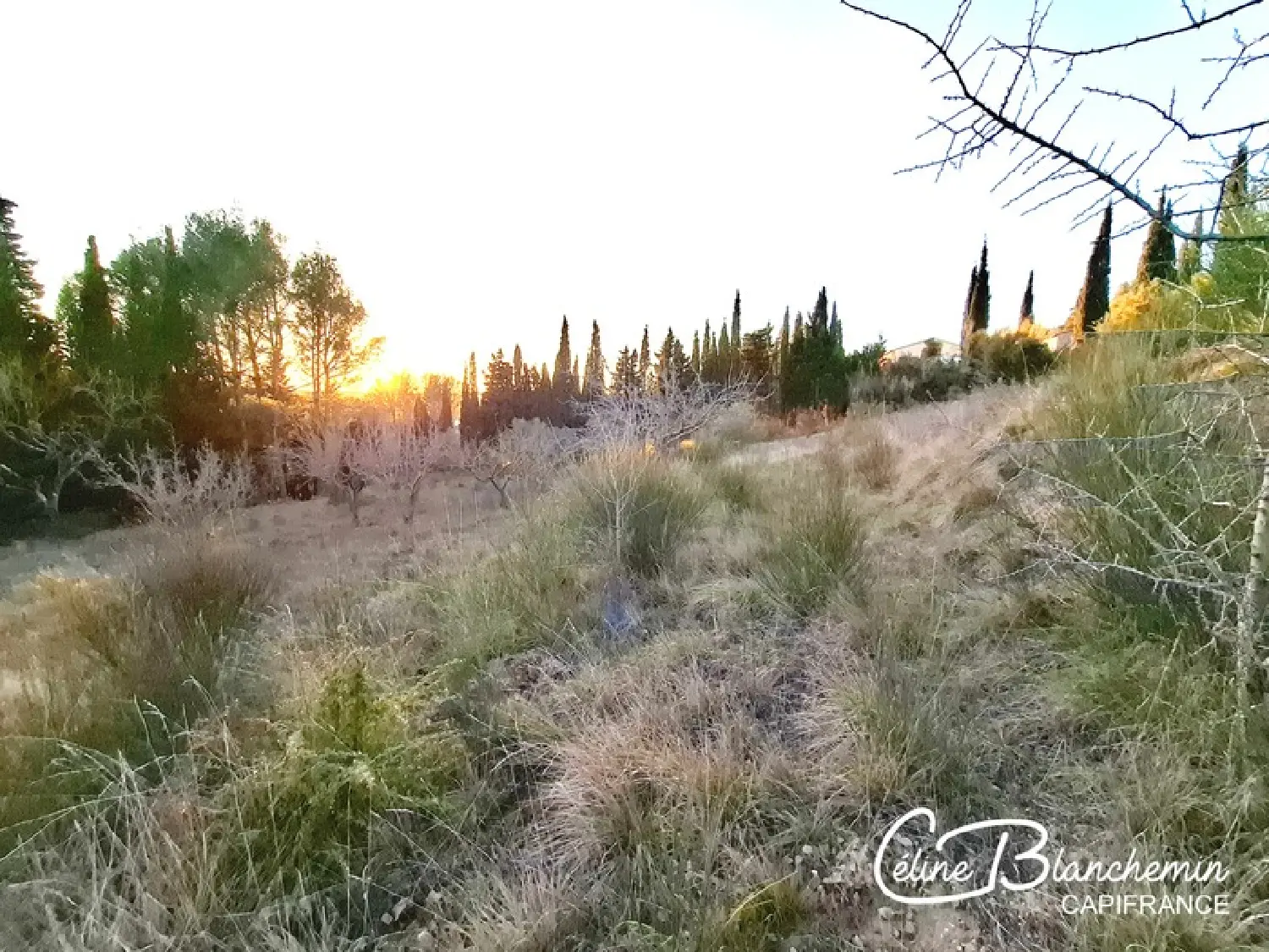  te koop terrein Limoux Aude 1