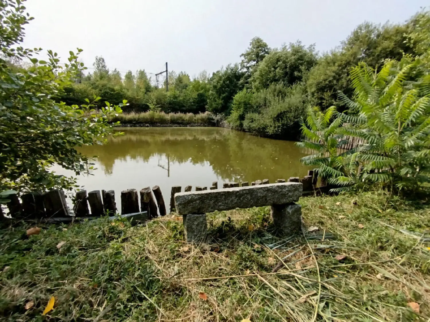  te koop terrein Lombron Sarthe 1