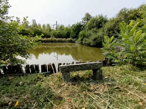 Lombron Sarthe terrein foto 7123976