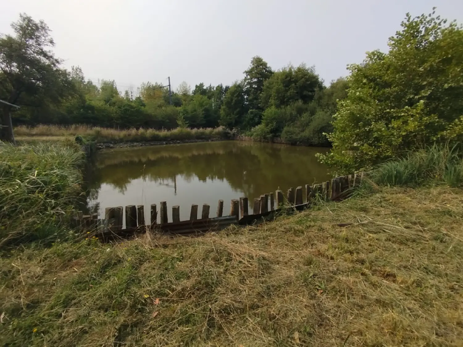 te koop terrein Lombron Sarthe 2