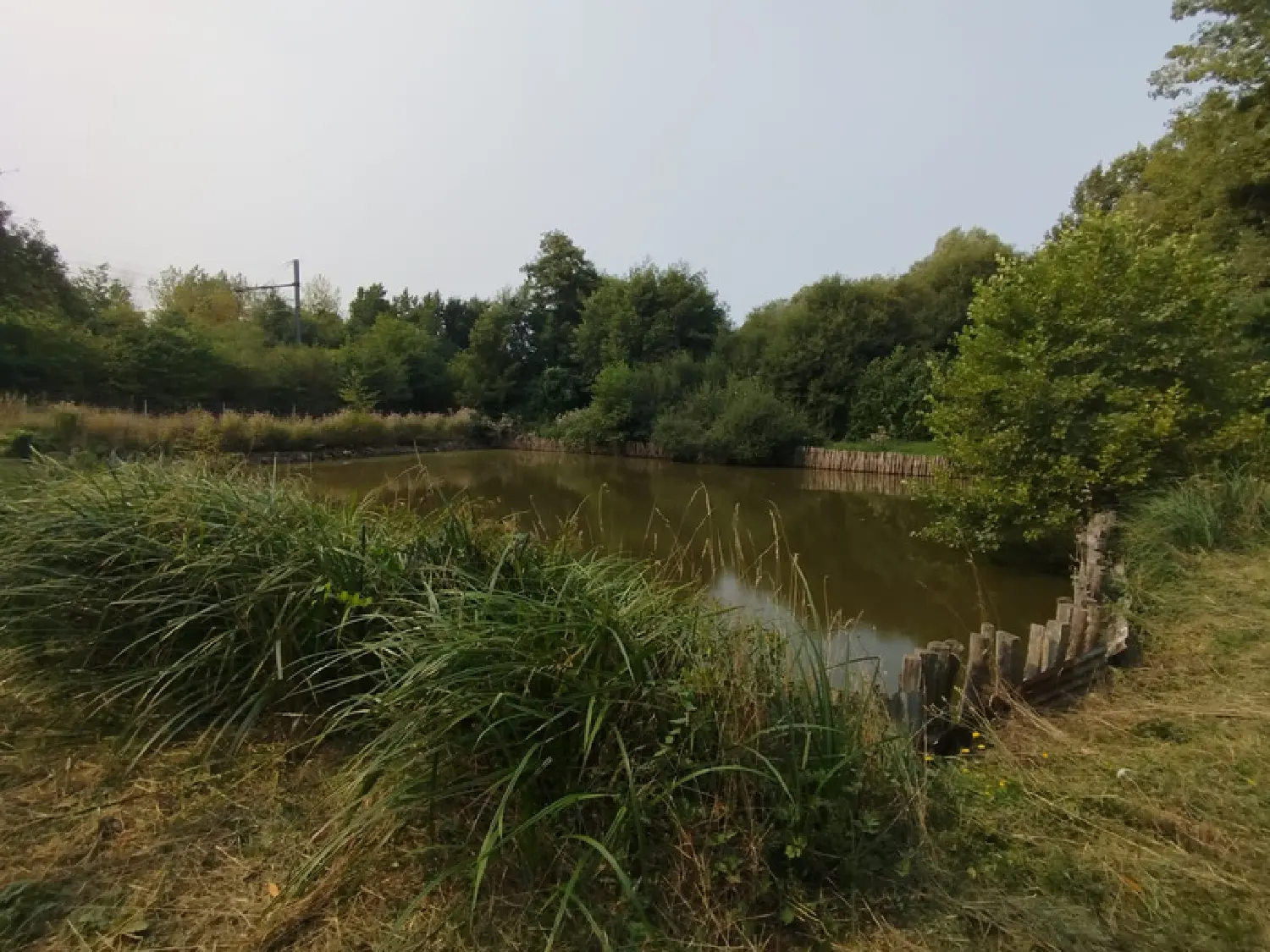  te koop terrein Lombron Sarthe 3
