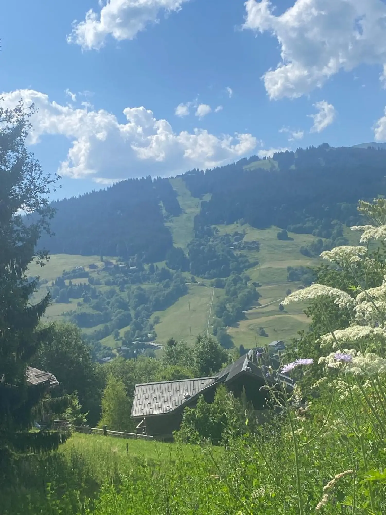 en venta terreno Megève Haute-Savoie 2