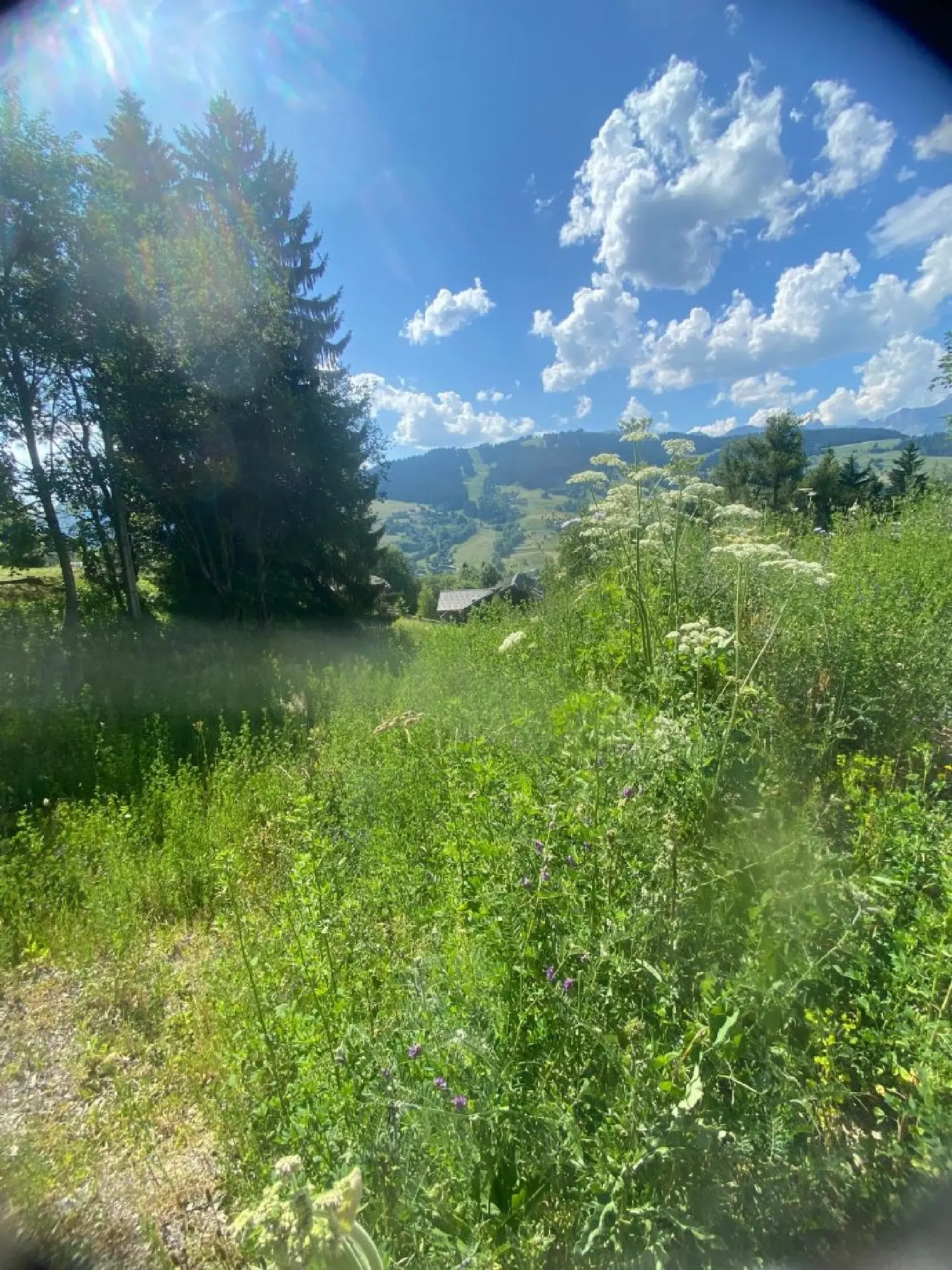 en venta terreno Megève Haute-Savoie 3