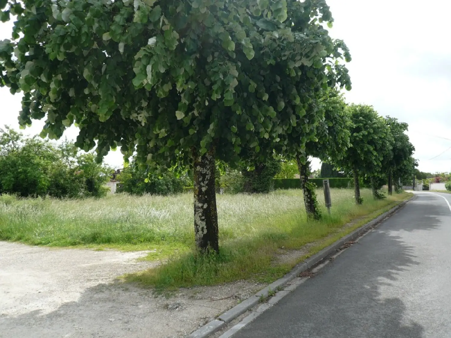 à vendre terrain Merpins Charente 1