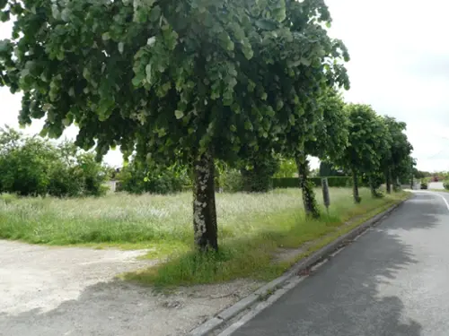 Merpins Charente terrain foto 7124756