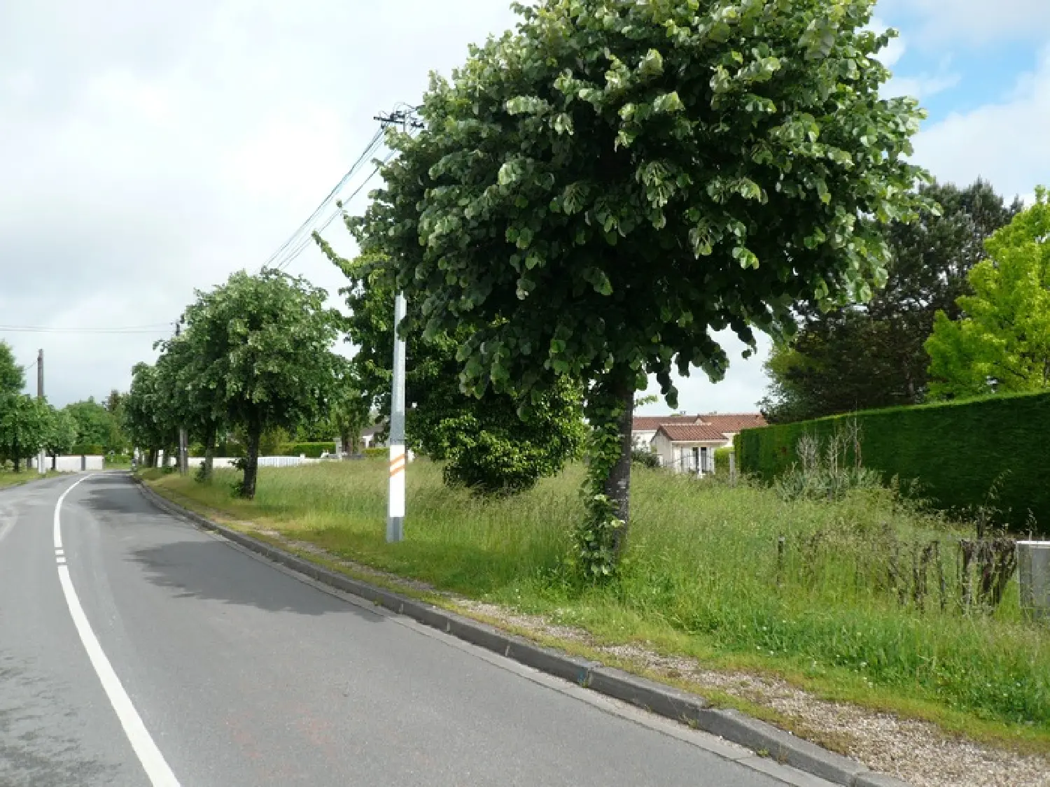  à vendre terrain Merpins Charente 5